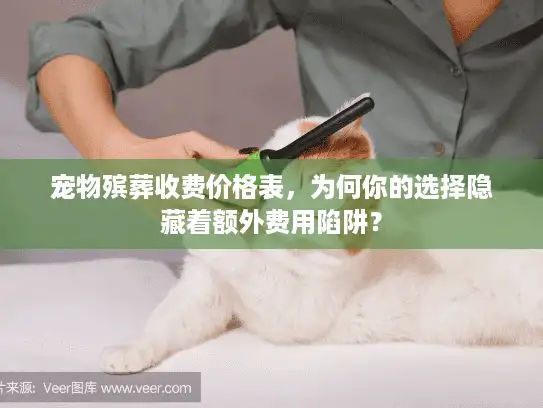 宠物殡葬收费价格表，为何你的选择隐藏着额外费用陷阱？