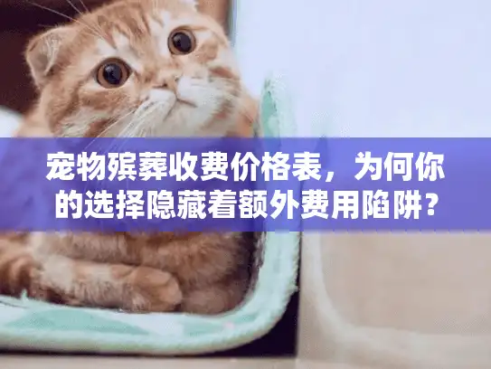 宠物殡葬收费价格表，为何你的选择隐藏着额外费用陷阱？