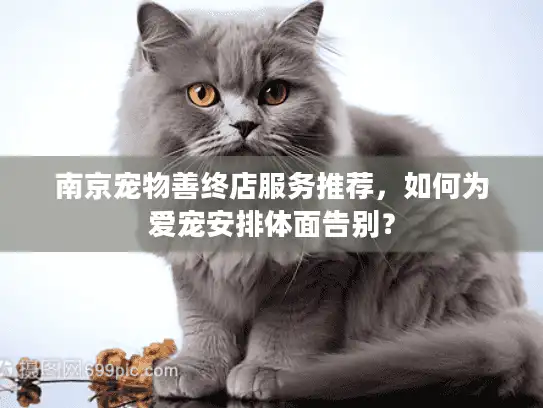 南京宠物善终店服务推荐，如何为爱宠安排体面告别？