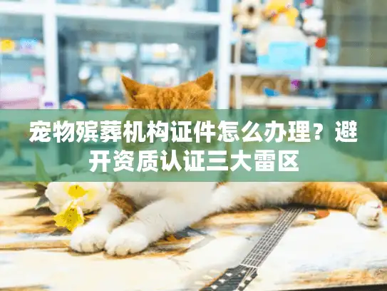 宠物殡葬机构证件怎么办理？避开资质认证三大雷区
