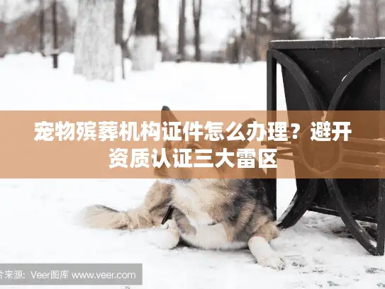 宠物殡葬机构证件怎么办理？避开资质认证三大雷区