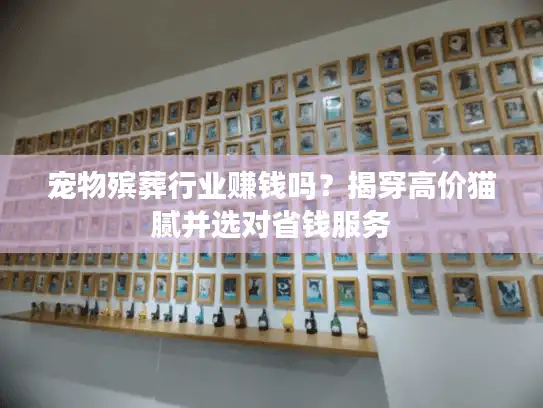 宠物殡葬行业赚钱吗？揭穿高价猫腻并选对省钱服务