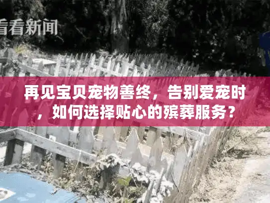 再见宝贝宠物善终，告别爱宠时，如何选择贴心的殡葬服务？
