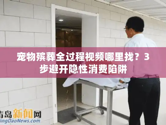 宠物殡葬全过程视频哪里找？3步避开隐性消费陷阱