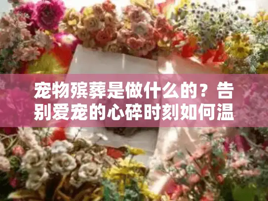 宠物殡葬是做什么的？告别爱宠的心碎时刻如何温暖化解