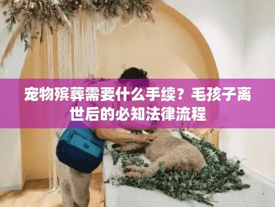 宠物殡葬需要什么手续？毛孩子离世后的必知法律流程