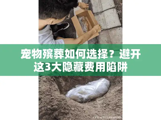 宠物殡葬如何选择？避开这3大隐藏费用陷阱