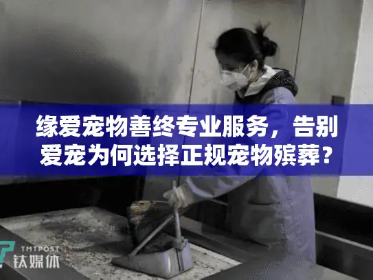 缘爱宠物善终专业服务，告别爱宠为何选择正规宠物殡葬？