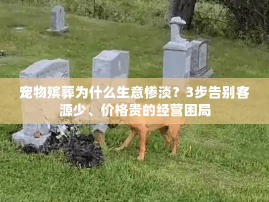 宠物殡葬为什么生意惨淡？3步告别客源少、价格贵的经营困局