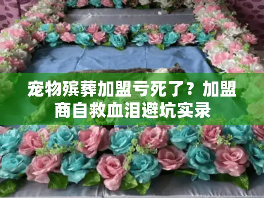宠物殡葬加盟亏死了？加盟商自救血泪避坑实录