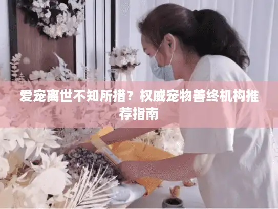 爱宠离世不知所措？权威宠物善终机构推荐指南