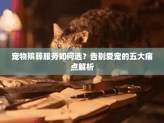 宠物殡葬服务如何选？告别爱宠的五大痛点解析