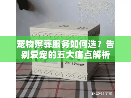 宠物殡葬服务如何选？告别爱宠的五大痛点解析