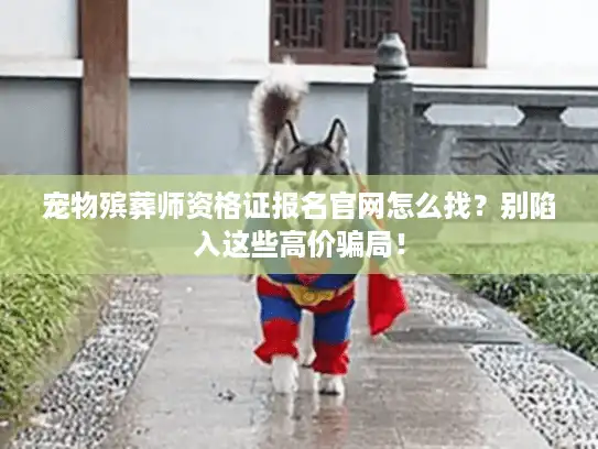 宠物殡葬师资格证报名官网怎么找？别陷入这些高价骗局！