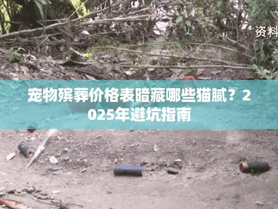 宠物殡葬价格表暗藏哪些猫腻？2025年避坑指南