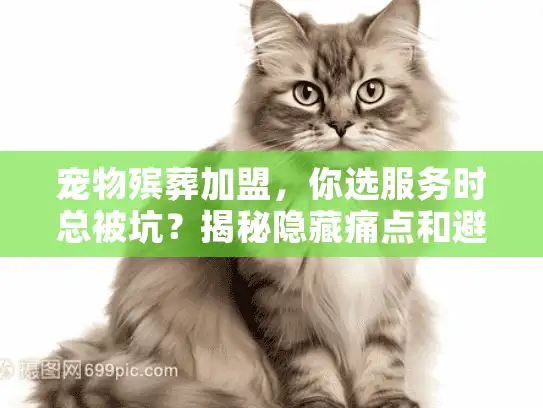 宠物殡葬加盟，你选服务时总被坑？揭秘隐藏痛点和避雷技巧