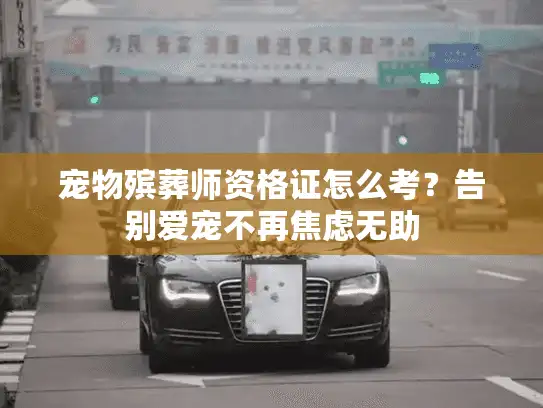 宠物殡葬师资格证怎么考？告别爱宠不再焦虑无助