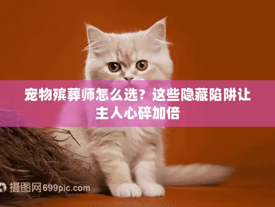 宠物殡葬师怎么选？这些隐藏陷阱让主人心碎加倍