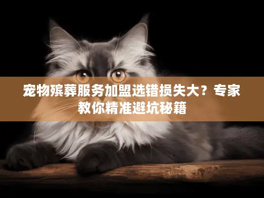 宠物殡葬服务加盟选错损失大？专家教你精准避坑秘籍