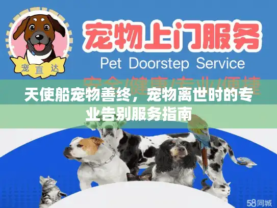 天使船宠物善终，宠物离世时的专业告别服务指南