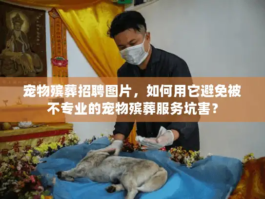 宠物殡葬招聘图片，如何用它避免被不专业的宠物殡葬服务坑害？