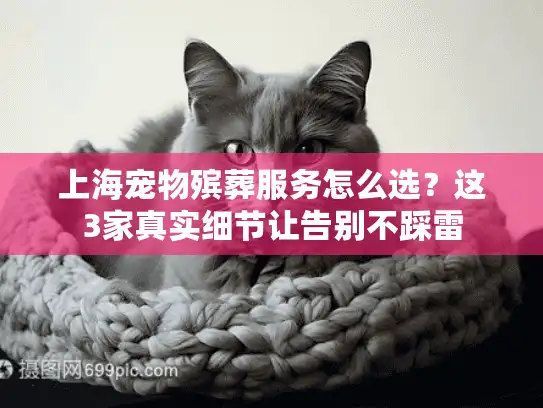 上海宠物殡葬服务怎么选？这3家真实细节让告别不踩雷
