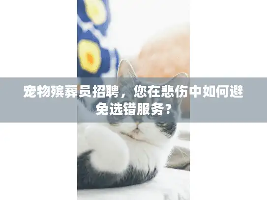 宠物殡葬员招聘，您在悲伤中如何避免选错服务？