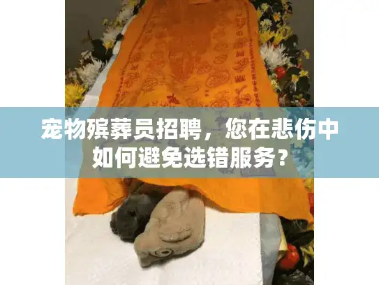 宠物殡葬员招聘，您在悲伤中如何避免选错服务？