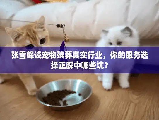 张雪峰谈宠物殡葬真实行业，你的服务选择正踩中哪些坑？