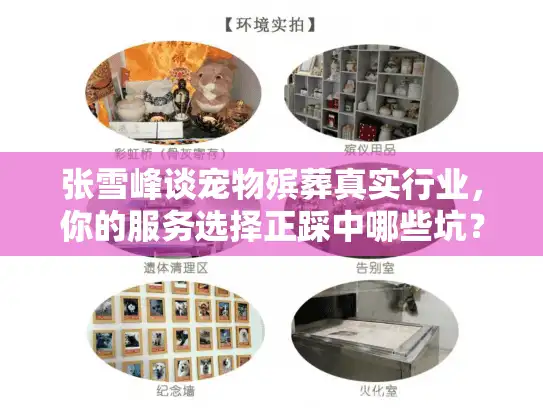 张雪峰谈宠物殡葬真实行业，你的服务选择正踩中哪些坑？
