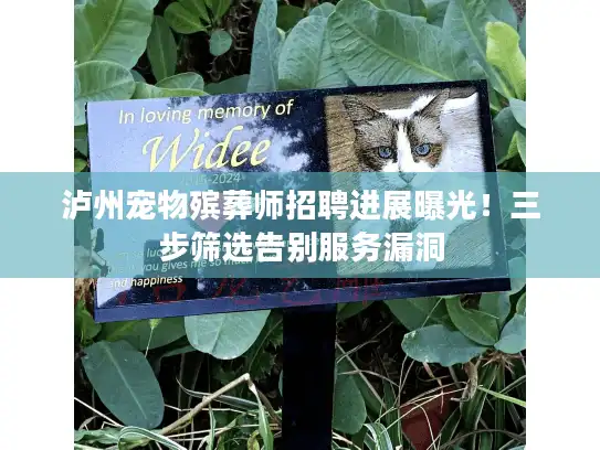 泸州宠物殡葬师招聘进展曝光！三步筛选告别服务漏洞