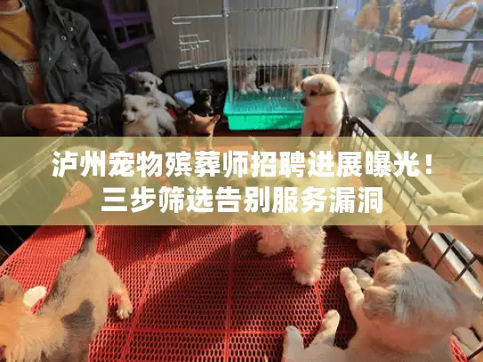 泸州宠物殡葬师招聘进展曝光！三步筛选告别服务漏洞
