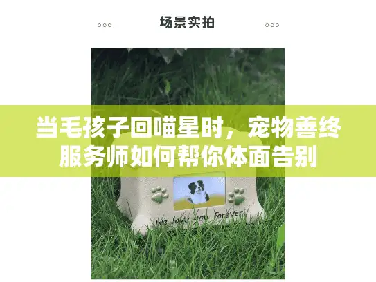 当毛孩子回喵星时，宠物善终服务师如何帮你体面告别