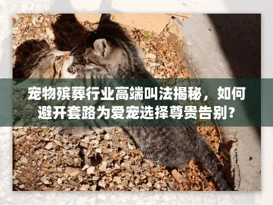 宠物殡葬行业高端叫法揭秘，如何避开套路为爱宠选择尊贵告别？