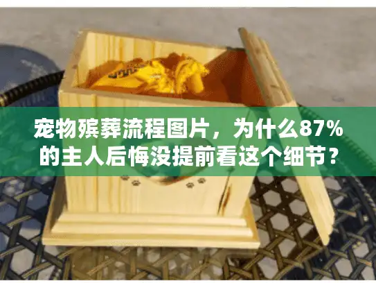 宠物殡葬流程图片，为什么87%的主人后悔没提前看这个细节？