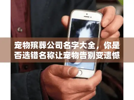 宠物殡葬公司名字大全，你是否选错名称让宠物告别变遗憾？