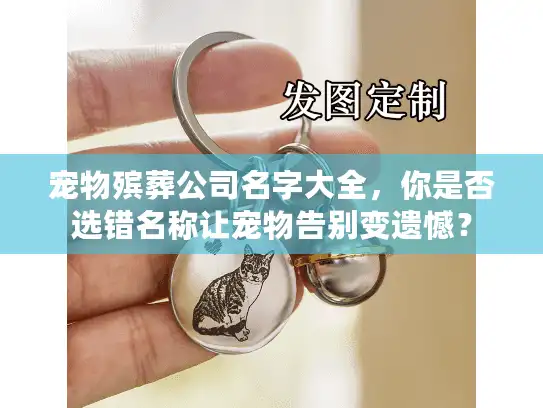 宠物殡葬公司名字大全，你是否选错名称让宠物告别变遗憾？