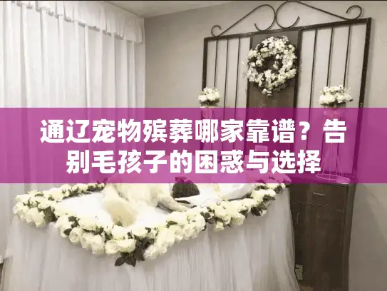 通辽宠物殡葬哪家靠谱？告别毛孩子的困惑与选择