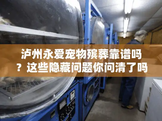 泸州永爱宠物殡葬靠谱吗？这些隐藏问题你问清了吗？