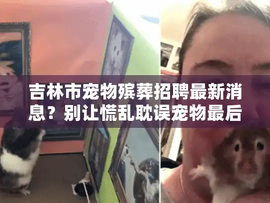 吉林市宠物殡葬招聘最新消息？别让慌乱耽误宠物最后的温柔告别