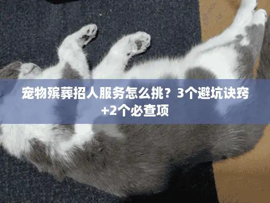 宠物殡葬招人服务怎么挑？3个避坑诀窍+2个必查项