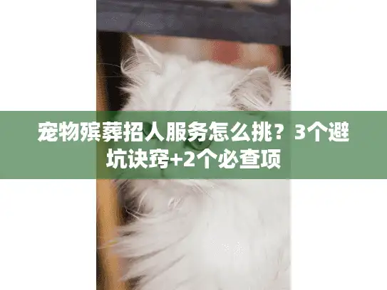 宠物殡葬招人服务怎么挑？3个避坑诀窍+2个必查项