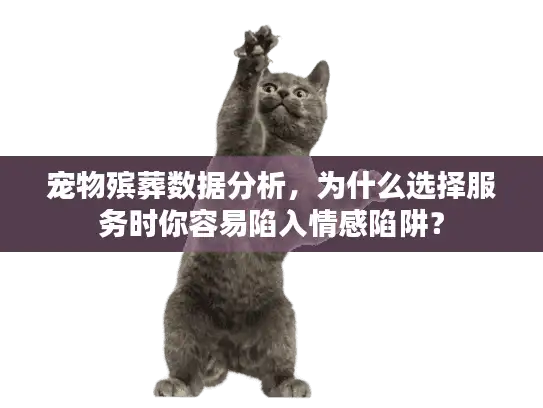 宠物殡葬数据分析，为什么选择服务时你容易陷入情感陷阱？