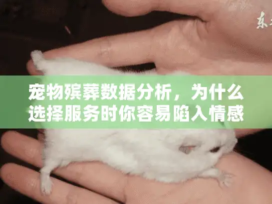宠物殡葬数据分析，为什么选择服务时你容易陷入情感陷阱？