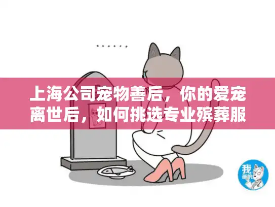 上海公司宠物善后，你的爱宠离世后，如何挑选专业殡葬服务？