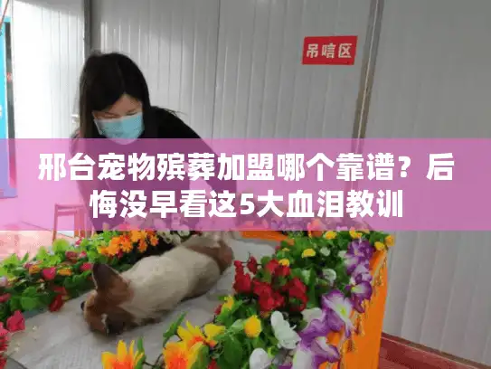 邢台宠物殡葬加盟哪个靠谱？后悔没早看这5大血泪教训