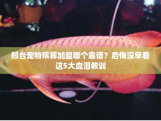 邢台宠物殡葬加盟哪个靠谱？后悔没早看这5大血泪教训