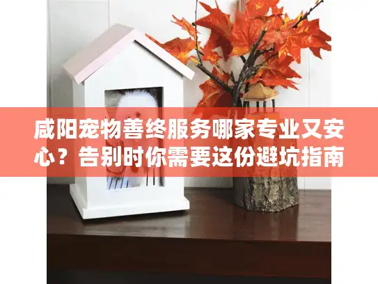 咸阳宠物善终服务哪家专业又安心？告别时你需要这份避坑指南
