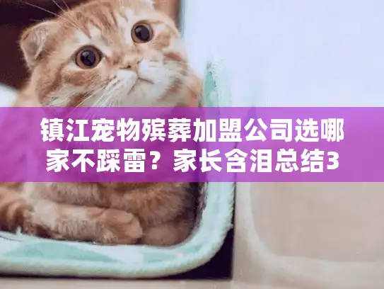 镇江宠物殡葬加盟公司选哪家不踩雷？家长含泪总结3条避坑铁律
