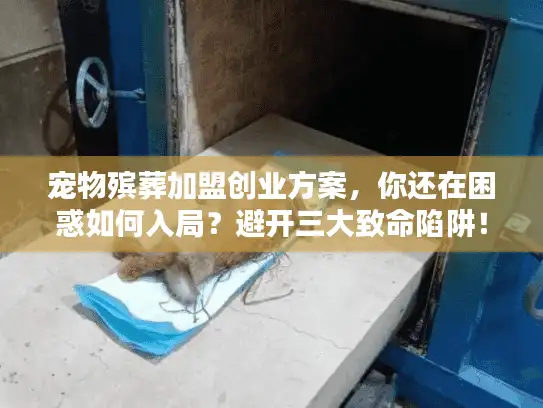宠物殡葬加盟创业方案，你还在困惑如何入局？避开三大致命陷阱！